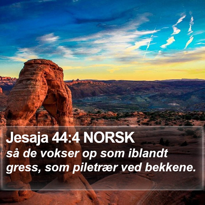 Jesaja 44:4 NORSK Bible Study