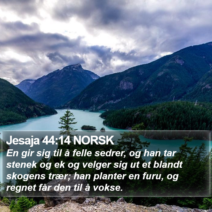 Jesaja 44:14 NORSK Bible Study