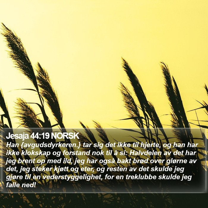 Jesaja 44:19 NORSK Bible Study