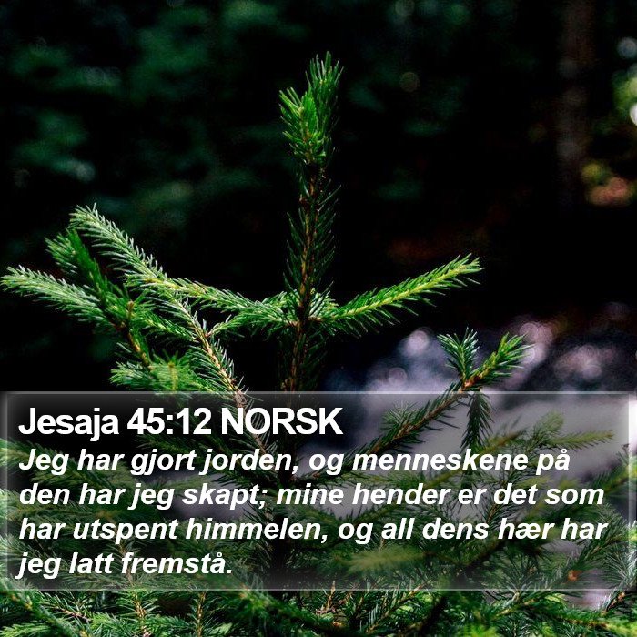 Jesaja 45:12 NORSK Bible Study