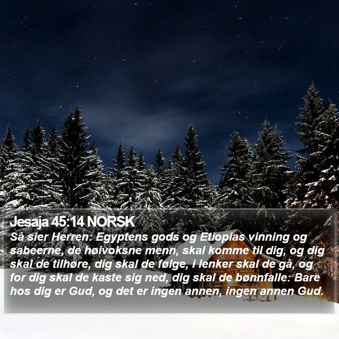 Jesaja 45:14 NORSK Bible Study