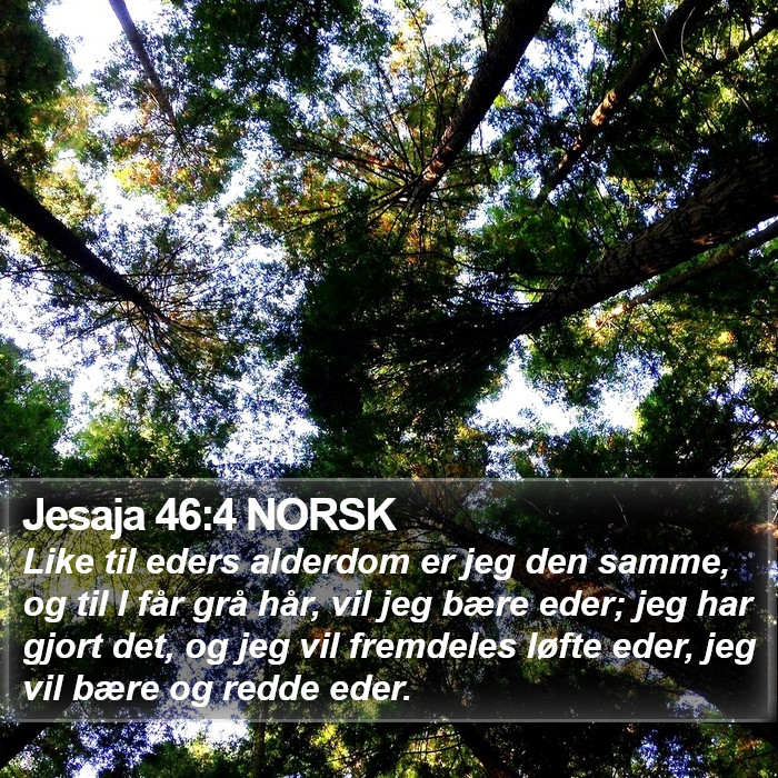 Jesaja 46:4 NORSK Bible Study