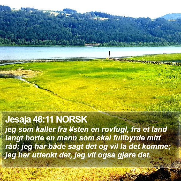 Jesaja 46:11 NORSK Bible Study