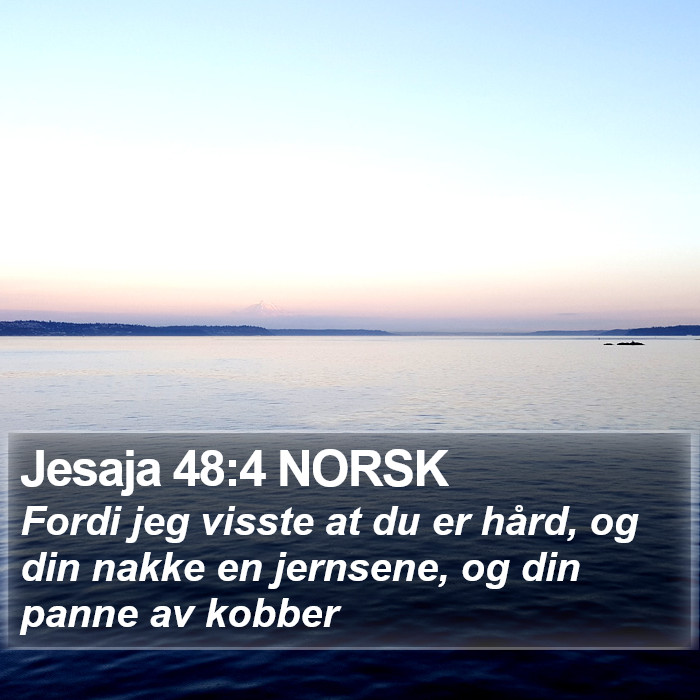 Jesaja 48:4 NORSK Bible Study