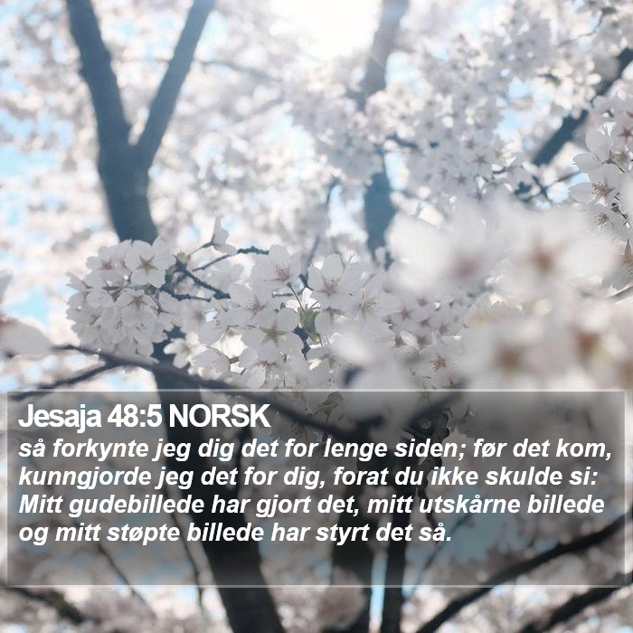 Jesaja 48:5 NORSK Bible Study