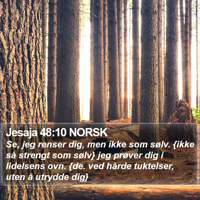 Jesaja 48:10 NORSK Bible Study