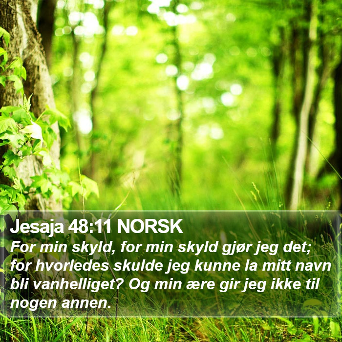 Jesaja 48:11 NORSK Bible Study