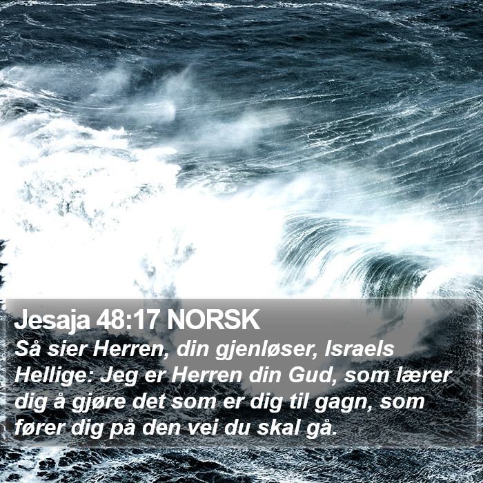 Jesaja 48:17 NORSK Bible Study