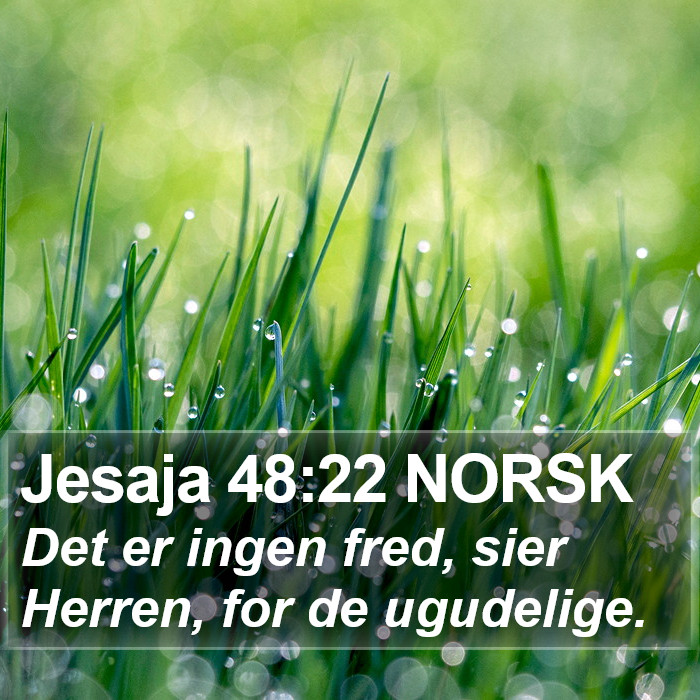 Jesaja 48:22 NORSK Bible Study