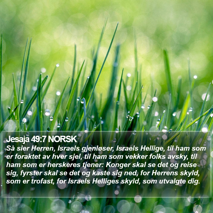 Jesaja 49:7 NORSK Bible Study