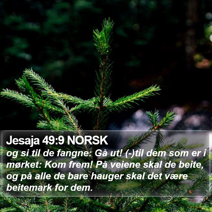 Jesaja 49:9 NORSK Bible Study