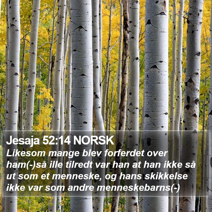 Jesaja 52:14 NORSK Bible Study