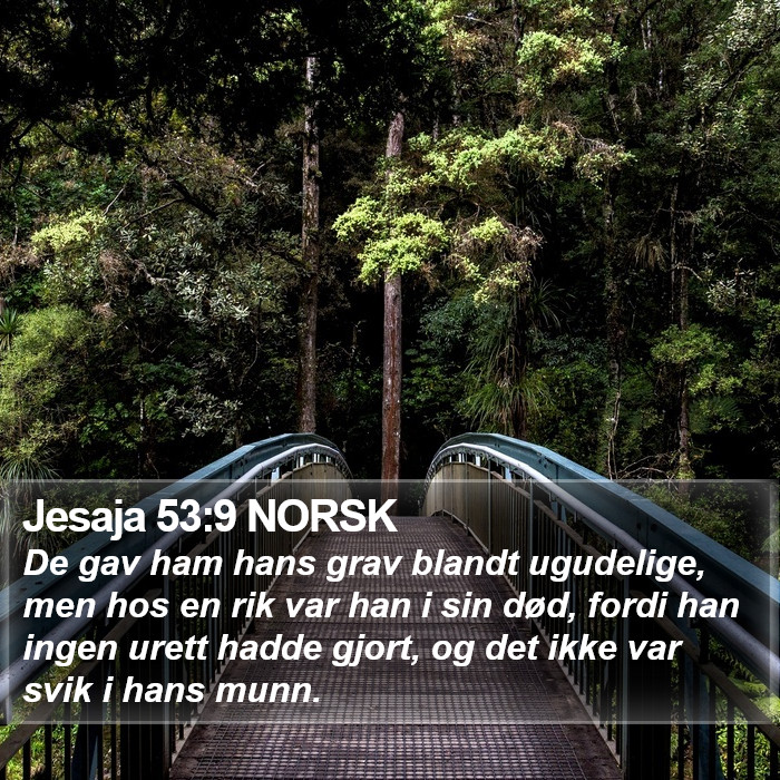 Jesaja 53:9 NORSK Bible Study