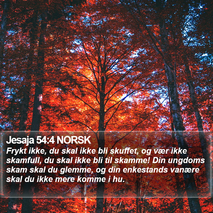 Jesaja 54:4 NORSK Bible Study