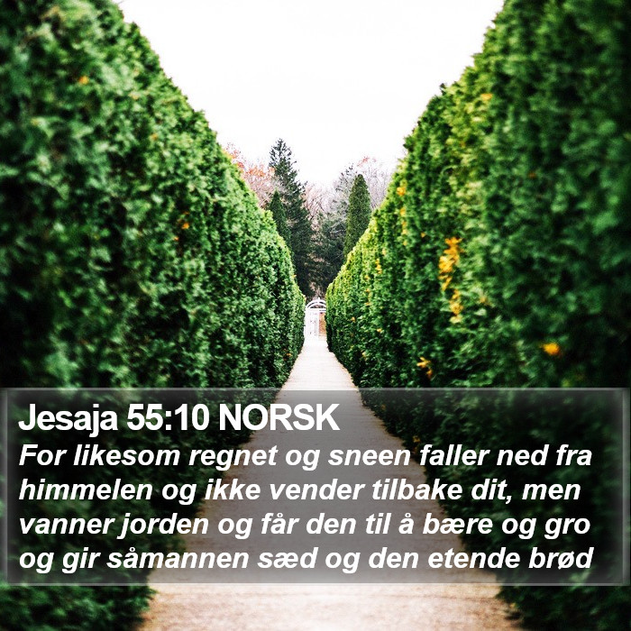 Jesaja 55:10 NORSK Bible Study