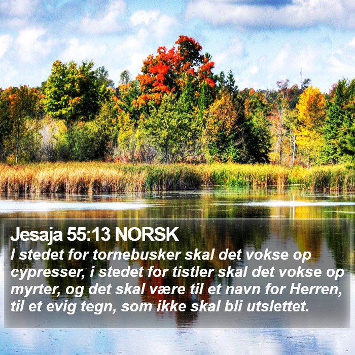 Jesaja 55:13 NORSK Bible Study