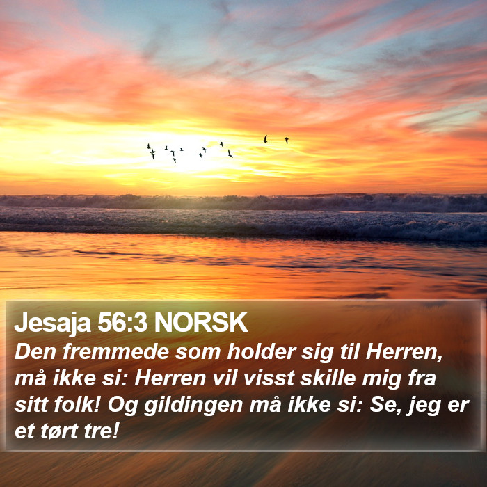 Jesaja 56:3 NORSK Bible Study