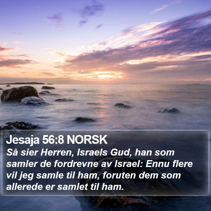 Jesaja 56:8 NORSK Bible Study