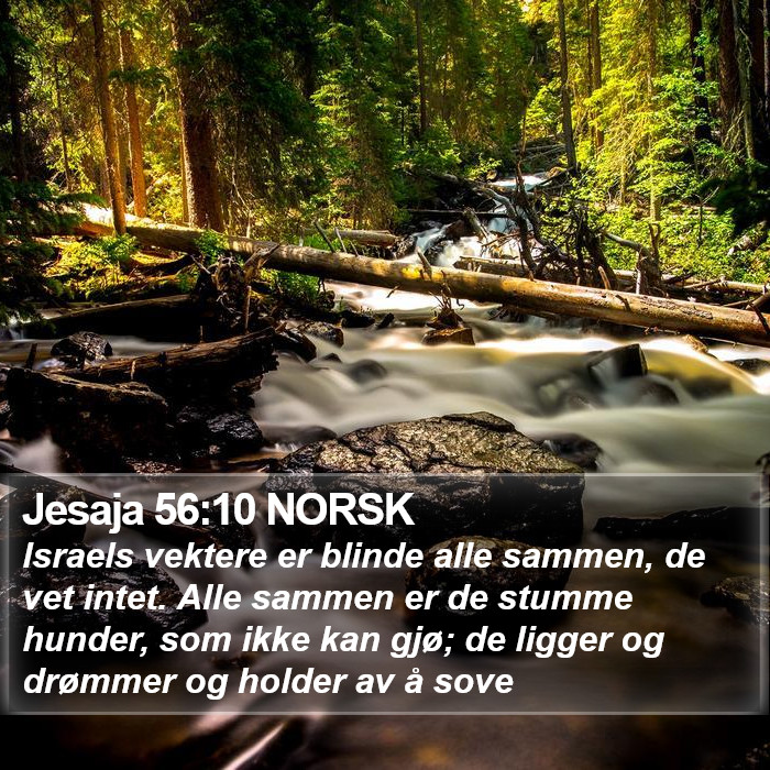 Jesaja 56:10 NORSK Bible Study