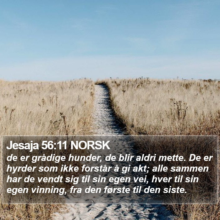 Jesaja 56:11 NORSK Bible Study