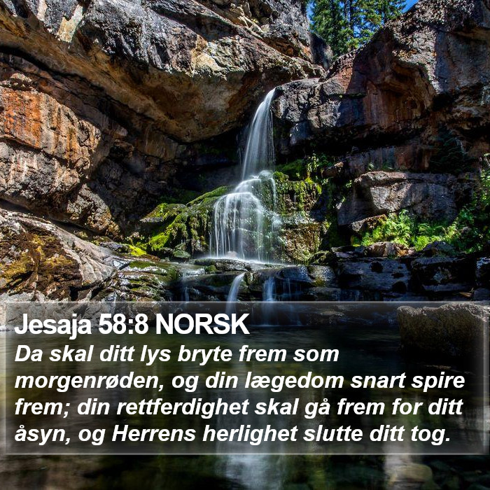 Jesaja 58:8 NORSK Bible Study