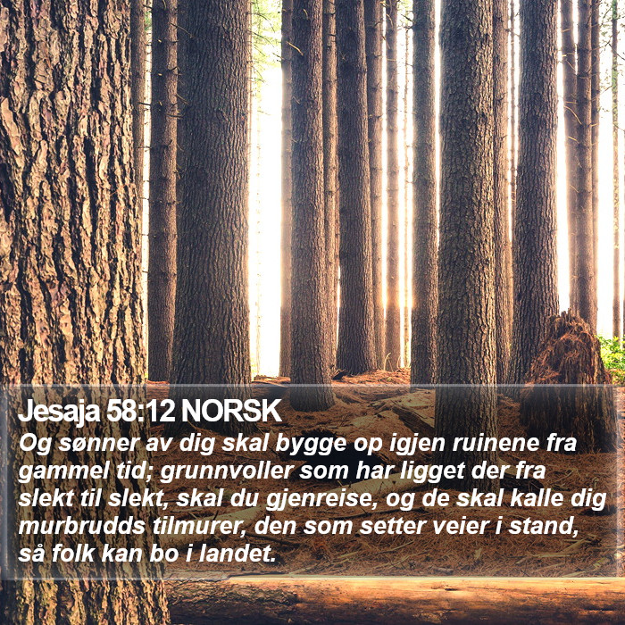 Jesaja 58:12 NORSK Bible Study