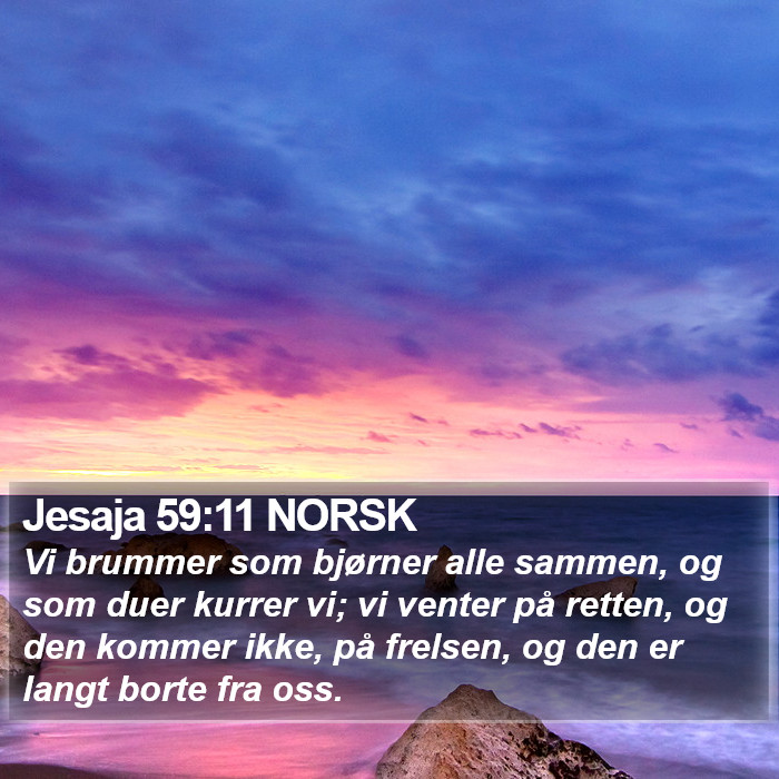 Jesaja 59:11 NORSK Bible Study