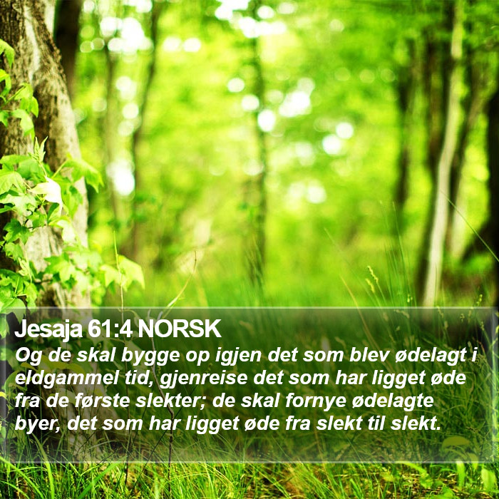 Jesaja 61:4 NORSK Bible Study