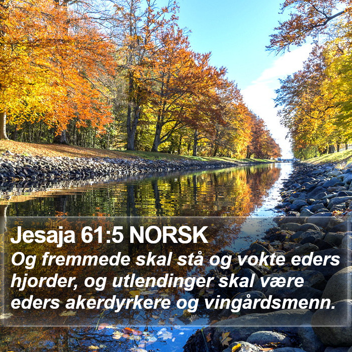 Jesaja 61:5 NORSK Bible Study