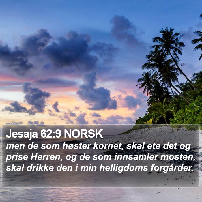 Jesaja 62:9 NORSK Bible Study