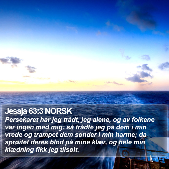 Jesaja 63:3 NORSK Bible Study