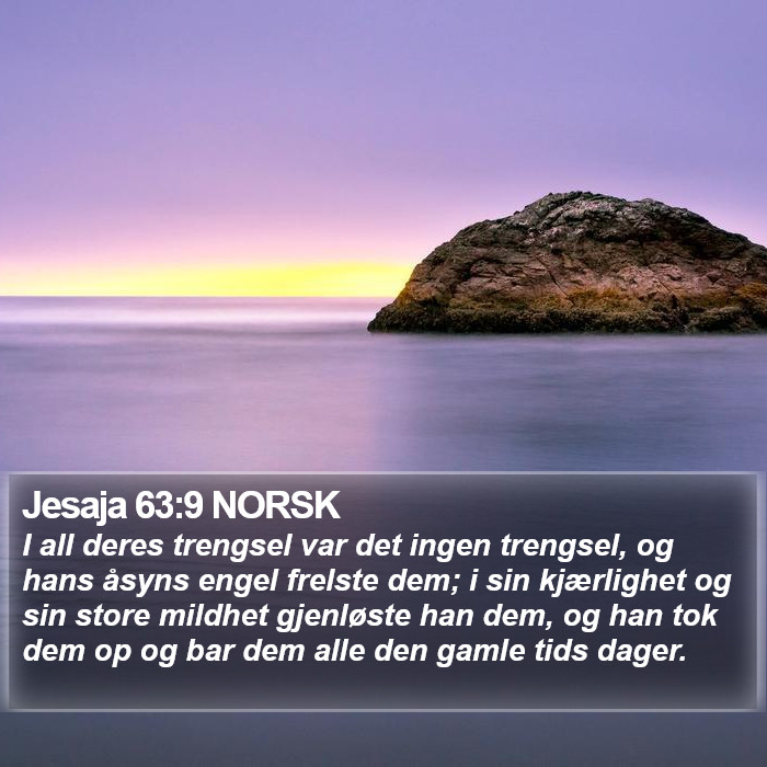 Jesaja 63:9 NORSK Bible Study