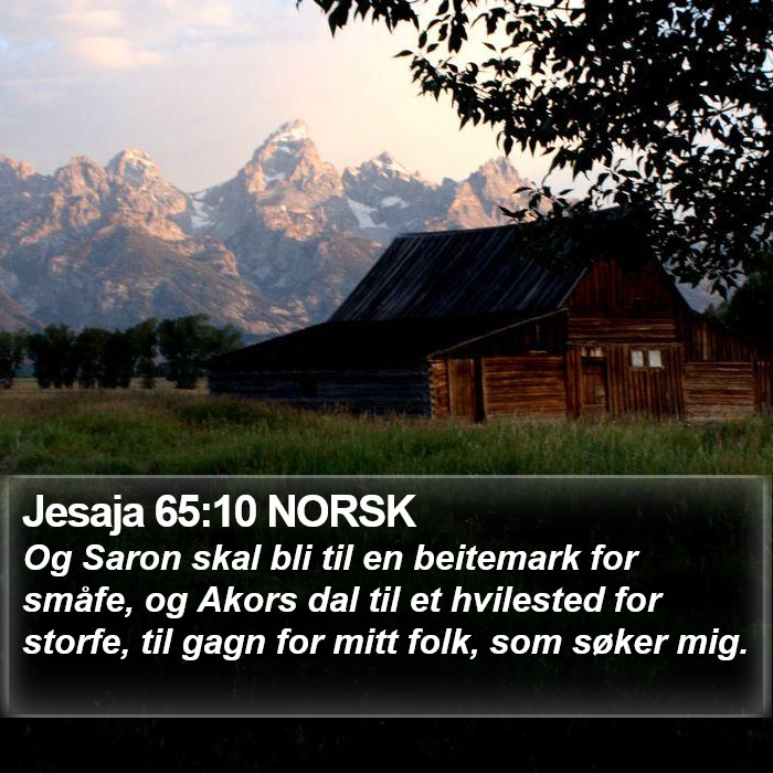 Jesaja 65:10 NORSK Bible Study