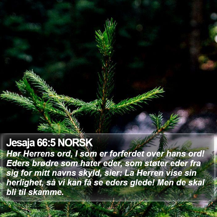 Jesaja 66:5 NORSK Bible Study