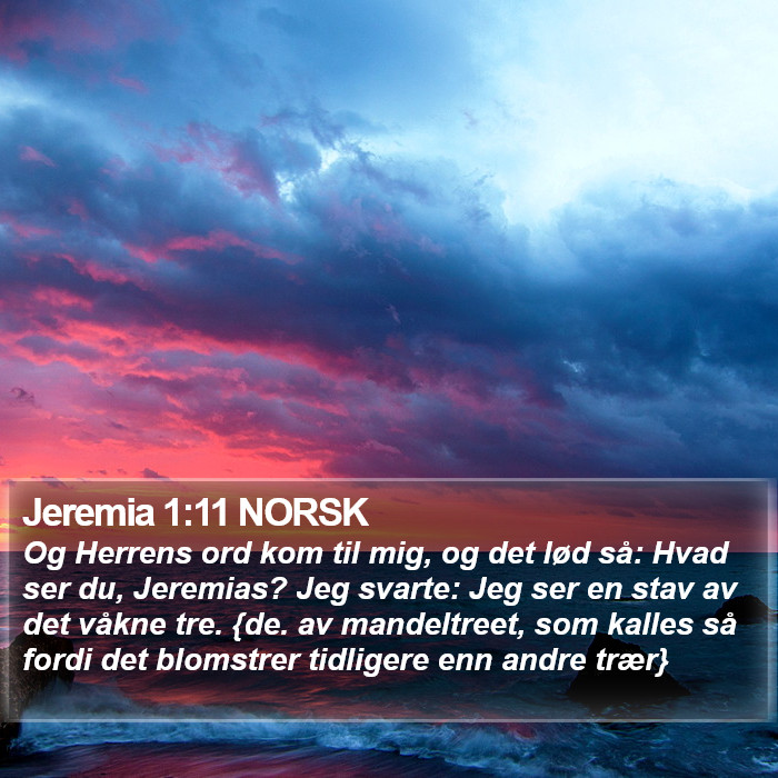 Jeremia 1:11 NORSK Bible Study