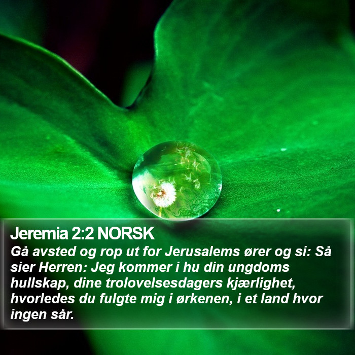 Jeremia 2:2 NORSK Bible Study