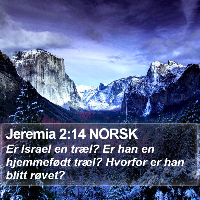 Jeremia 2:14 NORSK Bible Study