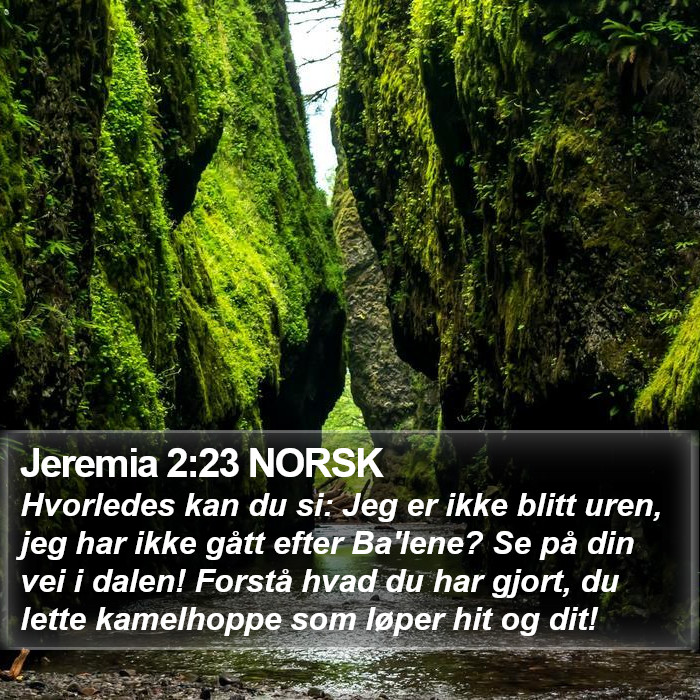 Jeremia 2:23 NORSK Bible Study