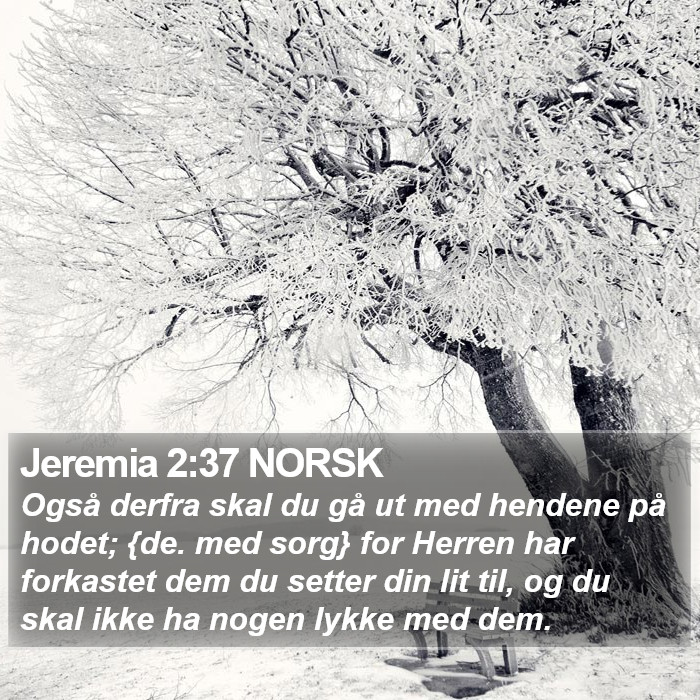 Jeremia 2:37 NORSK Bible Study