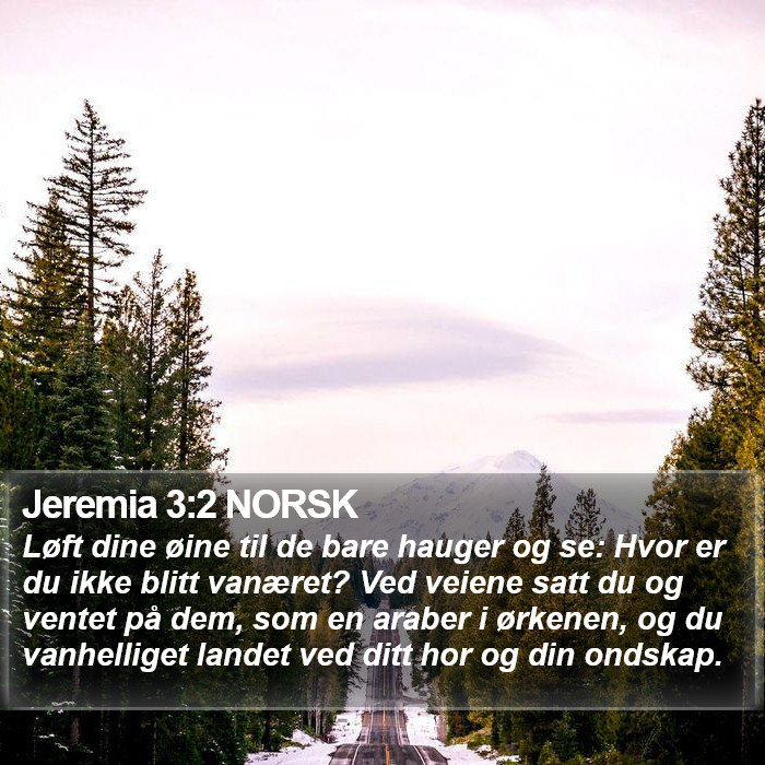 Jeremia 3:2 NORSK Bible Study