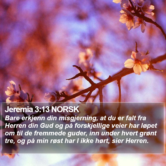 Jeremia 3:13 NORSK Bible Study