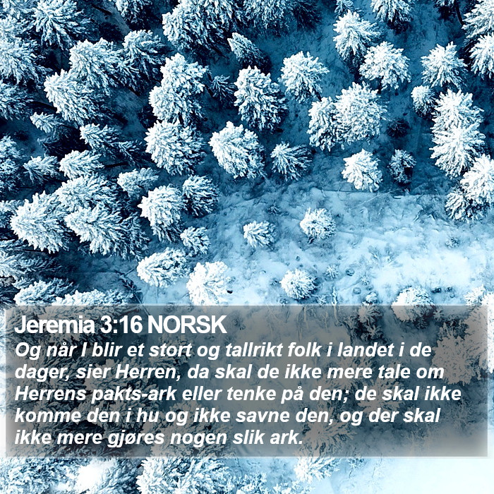 Jeremia 3:16 NORSK Bible Study