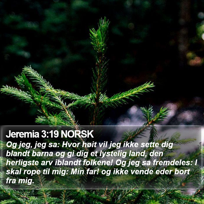 Jeremia 3:19 NORSK Bible Study
