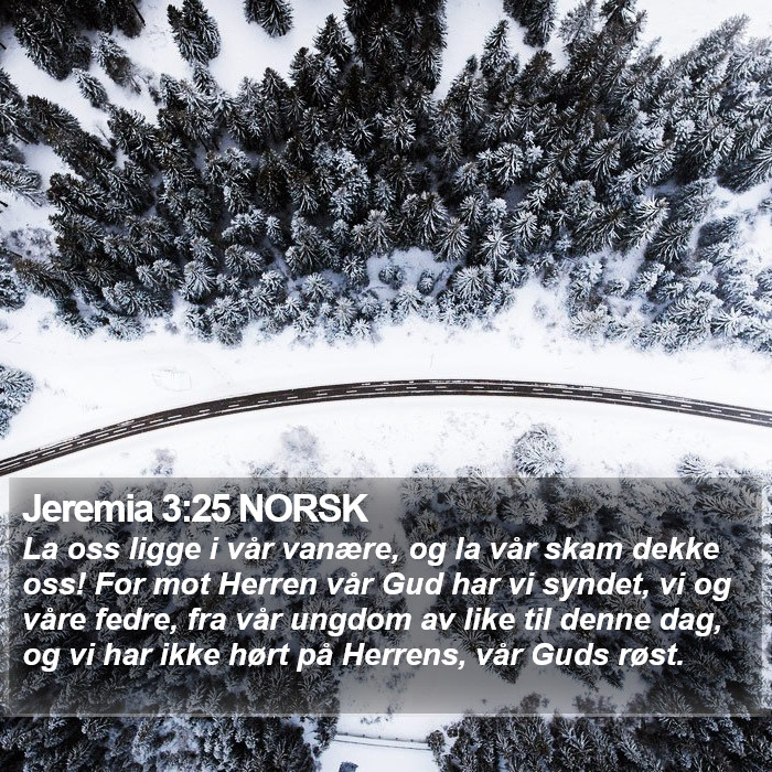 Jeremia 3:25 NORSK Bible Study