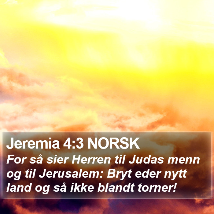 Jeremia 4:3 NORSK Bible Study