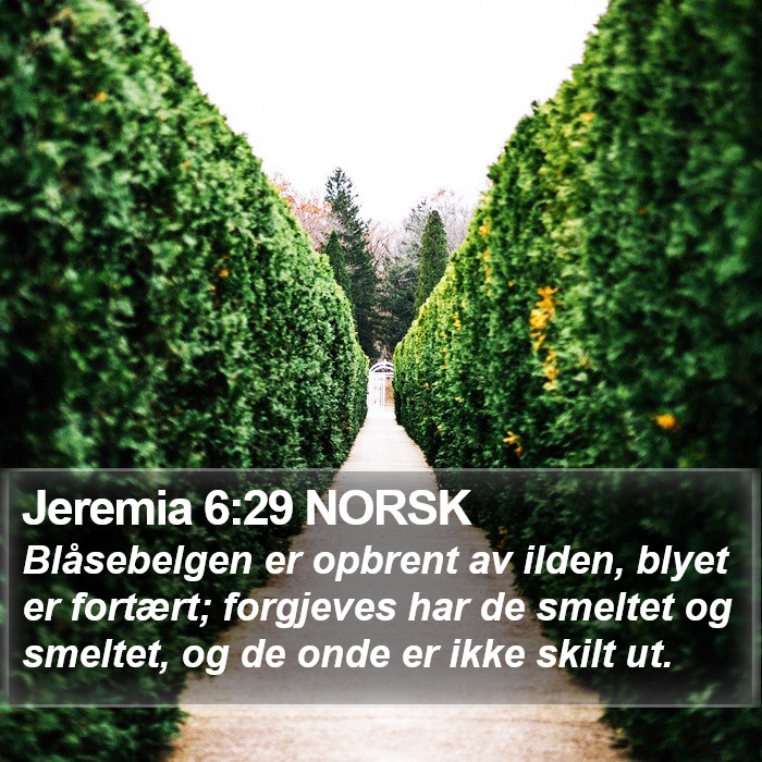 Jeremia 6:29 NORSK Bible Study