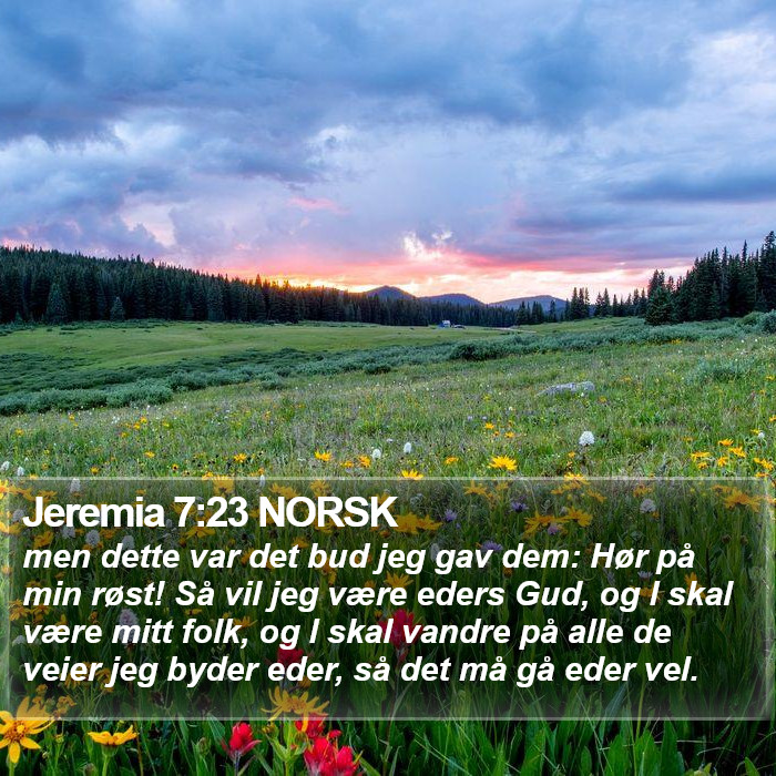 Jeremia 7:23 NORSK Bible Study