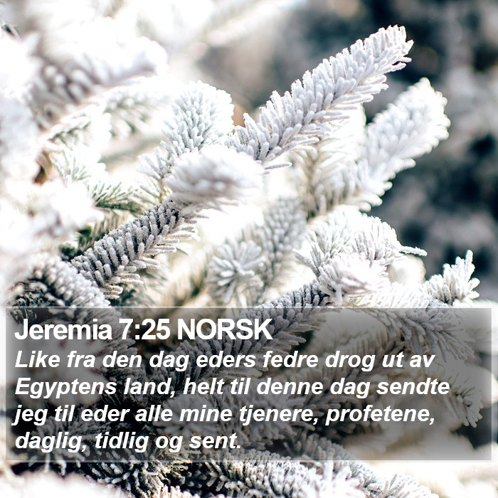 Jeremia 7:25 NORSK Bible Study