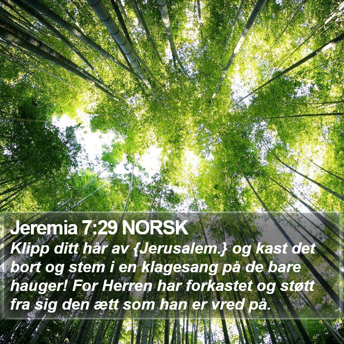 Jeremia 7:29 NORSK Bible Study