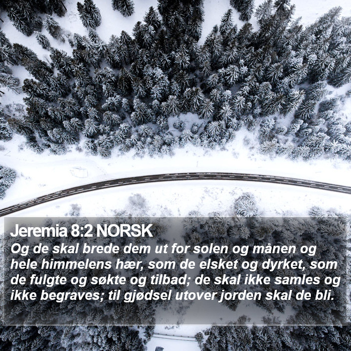 Jeremia 8:2 NORSK Bible Study